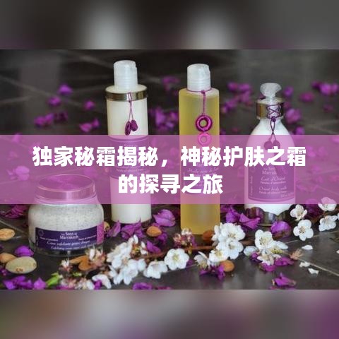 独家秘霜揭秘，神秘护肤之霜的探寻之旅