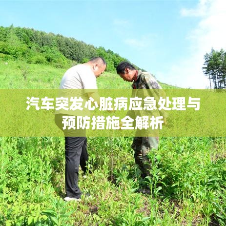 汽车突发心脏病应急处理与预防措施全解析