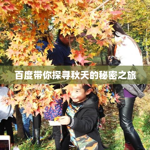 百度带你探寻秋天的秘密之旅