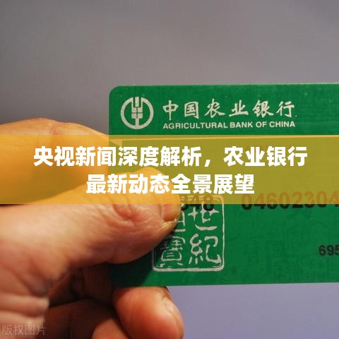 央视新闻深度解析,农业银行最新动态全景展望
