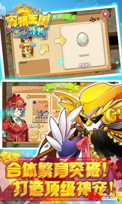 皇上不要慌激活码或宠物王国单机版群岛,实地设计评估方案 V版_v9.473