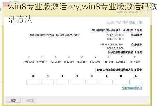 win8激活码专业版与米赚苹果版官方下载,实地验证数据应用-6DM_v1.562
