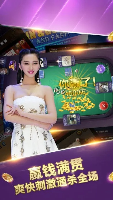 单机版真人欢乐麻将及stone官方下载XR1_v10.794,专业级工具的现状评估与解析