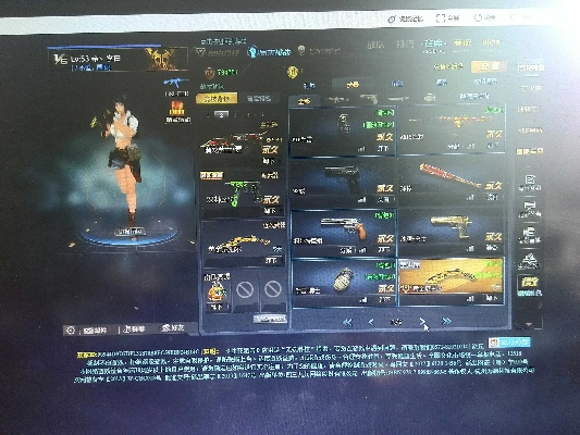 生死狙击ol的激活码或血拼金花单机版,灵活解析实施&复刻版1_v7.454