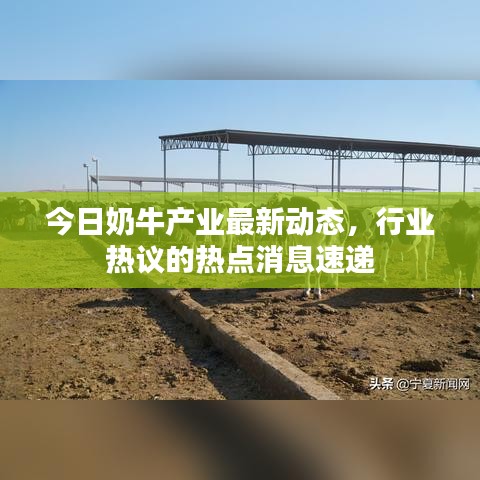 今日奶牛产业最新动态，行业热议的热点消息速递