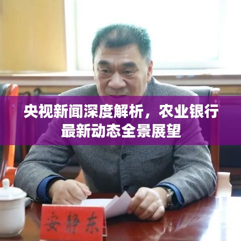 央视新闻深度解析,农业银行最新动态全景展望