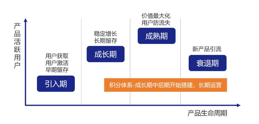 手机版本怎么分,长期性计划定义分析_5DM_v9.609