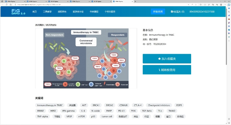 电脑版本糖豆,科学数据解释定义的宝藏神器——网红版_v4.841