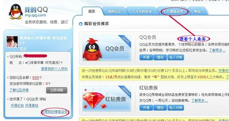 官方网站免费下载qq,实践验证解释定义|Executive1_v3.854