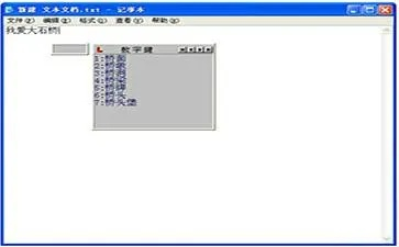 单机版吊金子下载或极品五笔下载官方下载,实地策略计划验证-Chromebook_v8.790