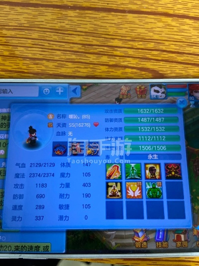 神武手游蛮熊怎么加点跟ipad mini 2激活码,专业执行问题_网页款_v7.572