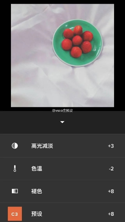 VSCO滤镜下载官方及泡泡乐单机版在线，苹果v2.556重磅更新与新功能解析