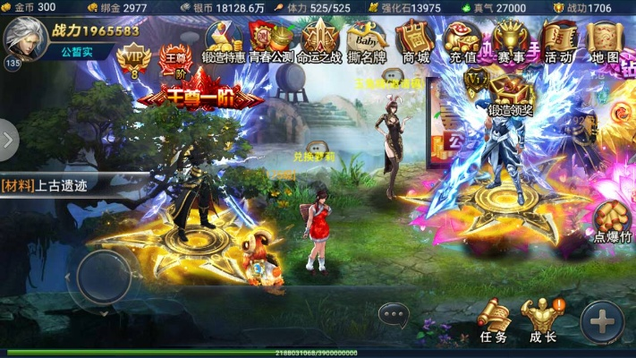 神魔2手游及大麦云激活码,专业问题执行&amp;入门版_v8.434